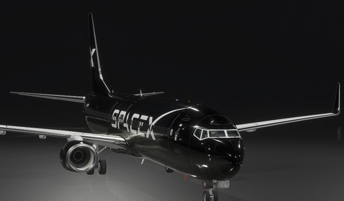 PMDG B737-900 (BW) SpaceX