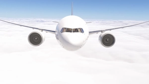 PMDG 777F Federal Express complete fleet (regular, Fedex50, 50th 777, Retro, Panda Express) thumbnail 6