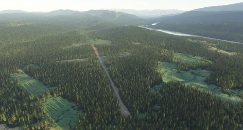 Brown Bear Creek FSR Airstrip