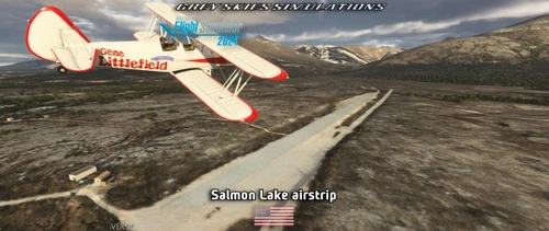 Z81 - Salmon Lake airstrip, Alaska, USA