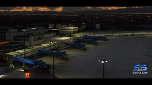 OSDI - Damascus International Airport | Syria SIM thumbnail 5