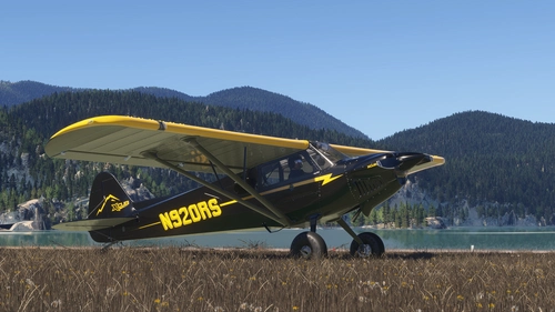 CubCrafters (Asobo) X-Cub - N920RS