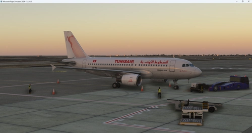 Tunisair TS-IMO Fenix A319CFM MSFS2024 Only (Without Logo - With Cabin)