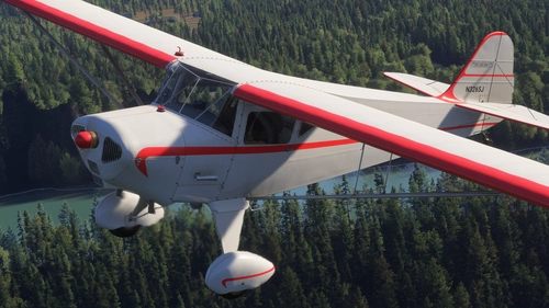 Got Friends Taylorcraft BC-12D - Gray Ghost