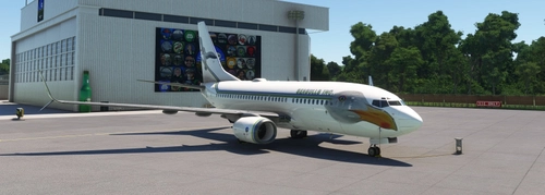PMDG 737-700SSW Seagulls Inc. Livery