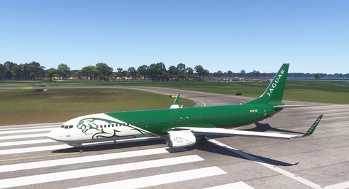 PMDG B737-900 (BW) Jaguar