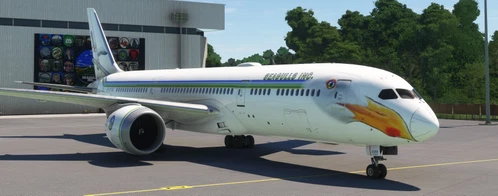 Horizon Simulations B787-9 Livery Seagulls Inc