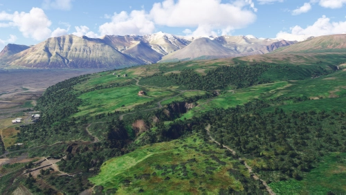 Iceland and Faroe Islands Forests