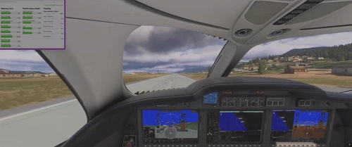 MSFS Physics Camera