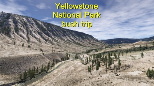 Yellowstone National Park Bush Trip