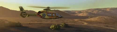 HPG H160 Serengeti Lion Safari