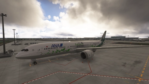 ANA FuturePromise Horizon 787-9
