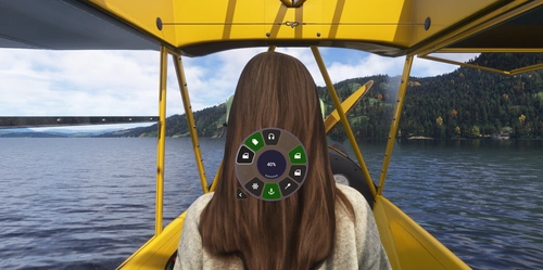 Flow Pro Piper-J3C toggles