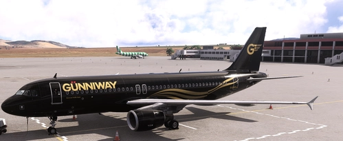 Fenix A320 CFM – Gunnyways D-GUNS