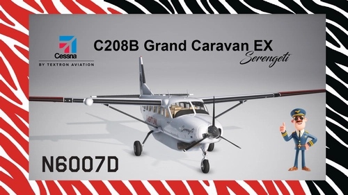 Black Square Caravan Pro FLIGHTLINK 'N6007D' (Pax)
