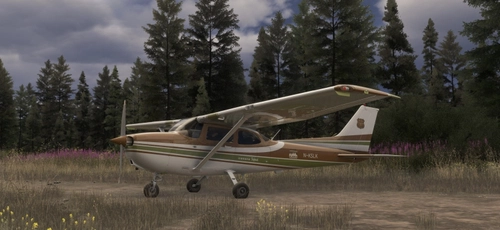 Cessna 172SP Classic white-brown-kaki N-KSLK (all versions)