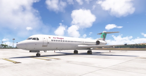 Air Niugini F100 P2-ANA [Requested]