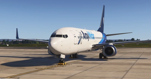 ANYWAIR 737 G-RUNT