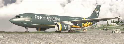FeelFreeAirline Airbus A300-600 GE D-AFFH