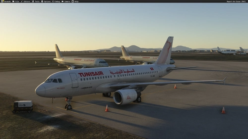 Tunisair TS-IMO and TS-IMQ Fenix A319CFM MSFS2024 Only (Without Logo - With Cabin)