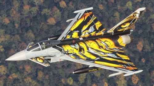 CASTLE TIGER 30+74