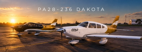 PA28-236 Dakota Gold Virtual Airlines Black and White Edition