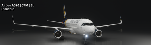 Airbus A320 CFM EUROPEAN HORIZONS