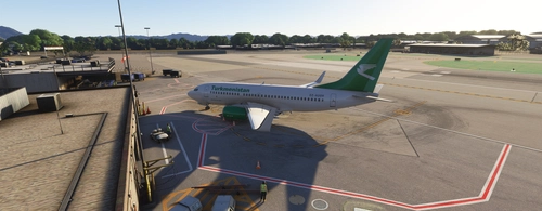 Turkmenistan Airlines B737-700 and BBJ Liveries