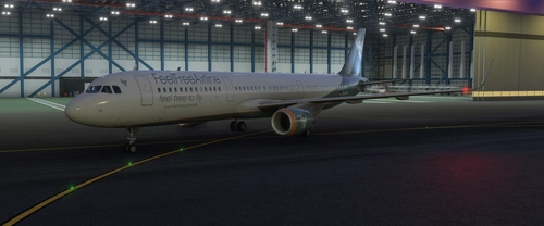 FeelFreeAirline Airbus A321 D-AFFC