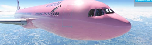 Airbus A330-900neo | SalmonAir "The Big Salmon" | 4K