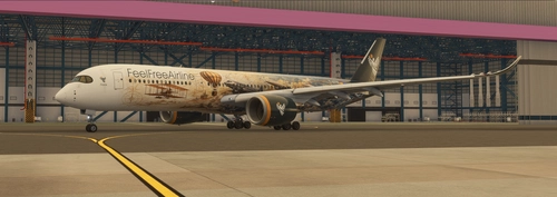 FeelFreeAirline Airbus A350-900URL D-AFFN "Frank"