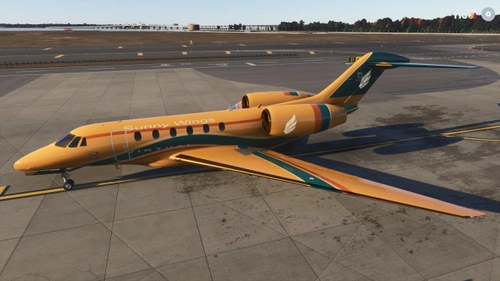 Sunny Wings Virtual - FlightFX C750 - High Quality Liveries
