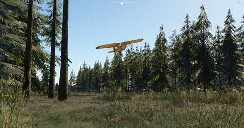Thetford Forest Bush Airfield - Cambridgeshire