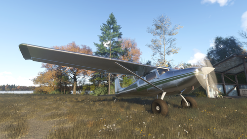 Cessna 180 Backcountry - Aluminum Stripe Color Set