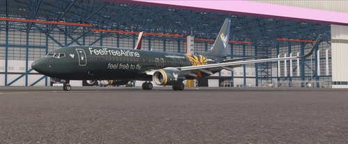 FeelFreeAirline Boeing 737-800 D-AFFM