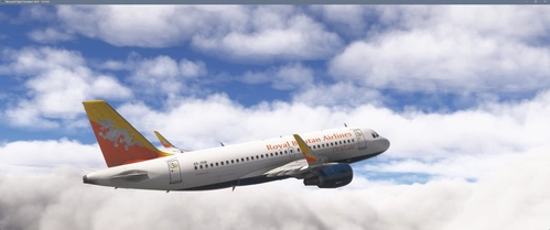 Airlines of South Asia for Fenix Simulations A319