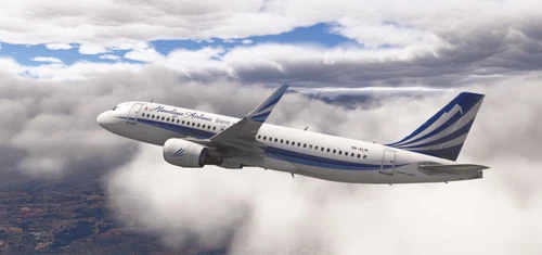 Airlines of South Asia for Fenix Simulations A320