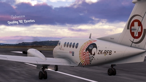 Carenado B200 King Air - ZK-RFB (Te Manu Karanga) - Skyline Aviation - New Zealand