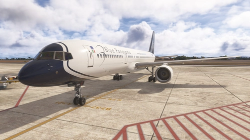 BlueBird 757-200 – Blue Panorama EI-DNA