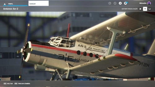 Asobo Antonov AN-2 PT-ZOV