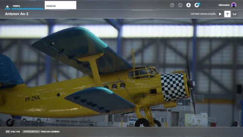 Asobo Antonov AN-2 (PP-ZNA)