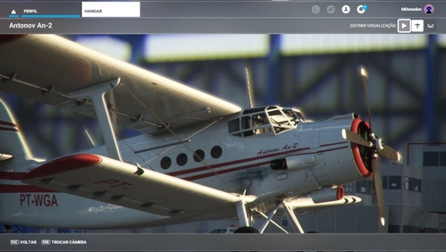 Asobo Antonov AN-2 PT-WGA