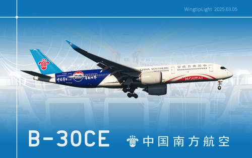 [4K] China Southern Airlines "Guizhou Moutai" B-30CE