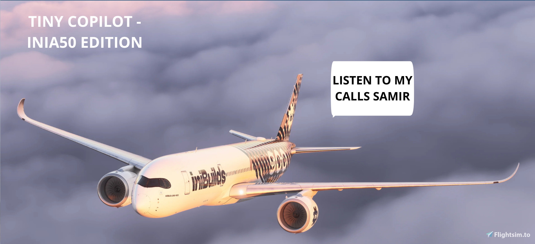 Tiny Copilot - INI A350 Edition - Image 2