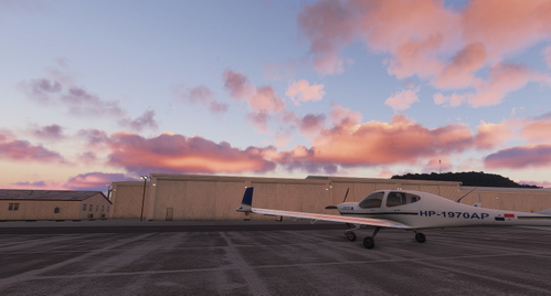 ALAS | COWS DA40NG (FS2024)