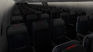 American Airlines [Collection] | w/Cabin | PMDG B737-823 thumbnail 15