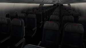 American Airlines [Collection] | w/Cabin | PMDG B737-823 thumbnail 16