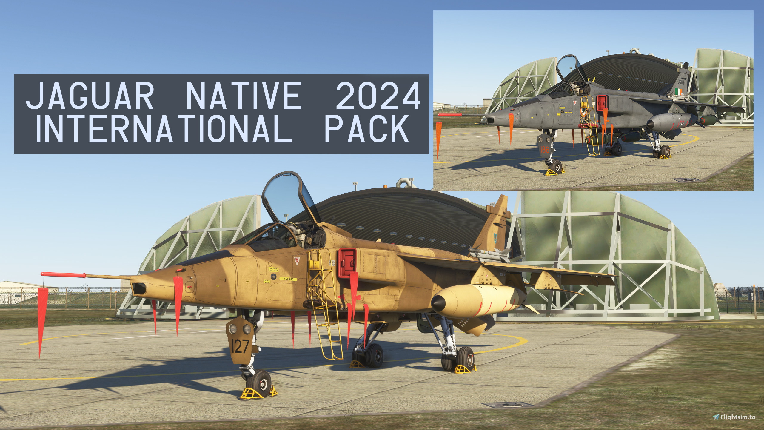 azurpoly-jaguar-native-2024-international-pack-msfs-add-on-flightsim-to