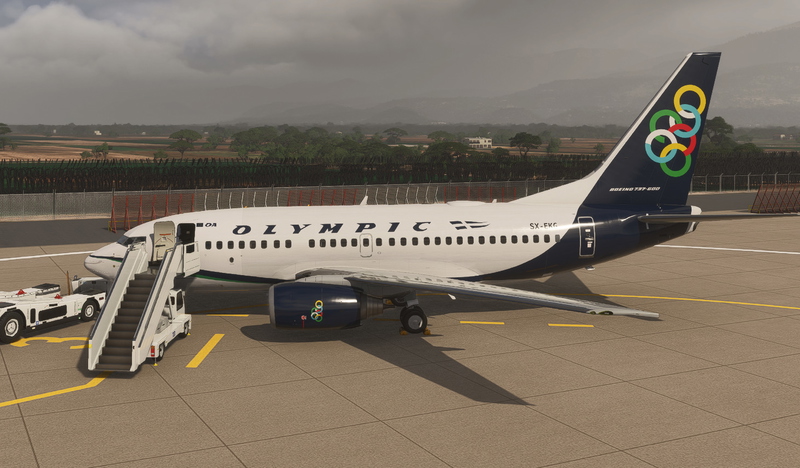 PMDG Boeing 737-600 Liveries for Microsoft Flight Simulator | MSFS