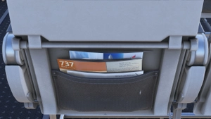 Boeing 737-800 American Airlines 100th Anniversary (N840NN) thumbnail 7